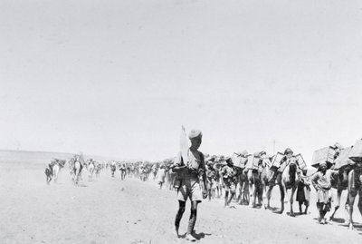 Een kameel bevoorradingstrein in Mesopotamië tijdens de Eerste Wereldoorlog, uit een album samengesteld door Lt. Kindom door English Photographer